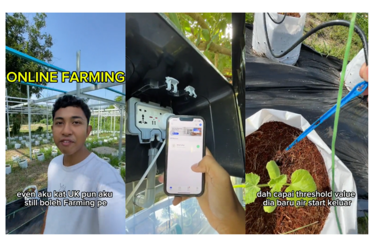 “Boleh Kawal Guna Phone Je” – Pemuda Kongsi Teknologi ‘Berkebun Atas Talian’