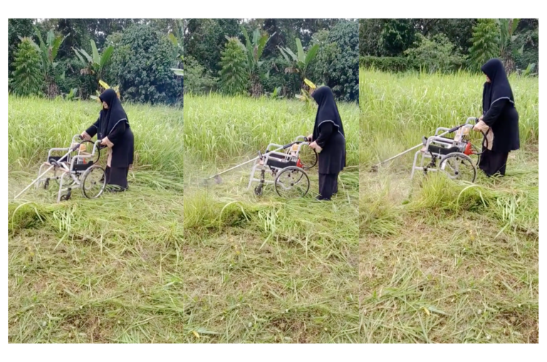 “Senang kerja!” – Mesin Rumput Dipasang Pada Kerusi Roda, Inovasi Wanita Ini Dipuji Netizen