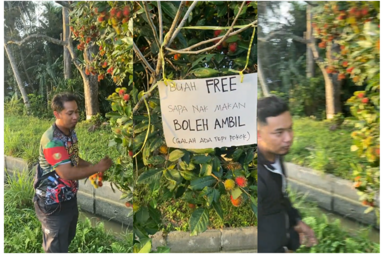 Siap Sediakan Galah, Pemilik Pokok Rambutan Kongsi Buah Dengan Orang Ramai