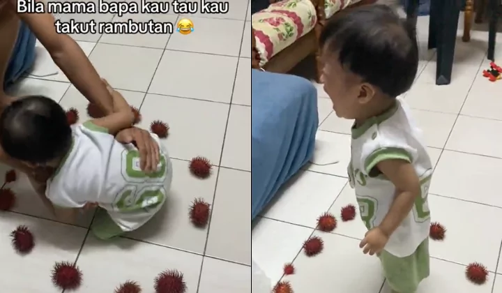 “Baby Comel Takut Buah” Video Gelagat Kanak-Kanak Dikelilingi Rambutan Buat Orang Ramai Terhibur”