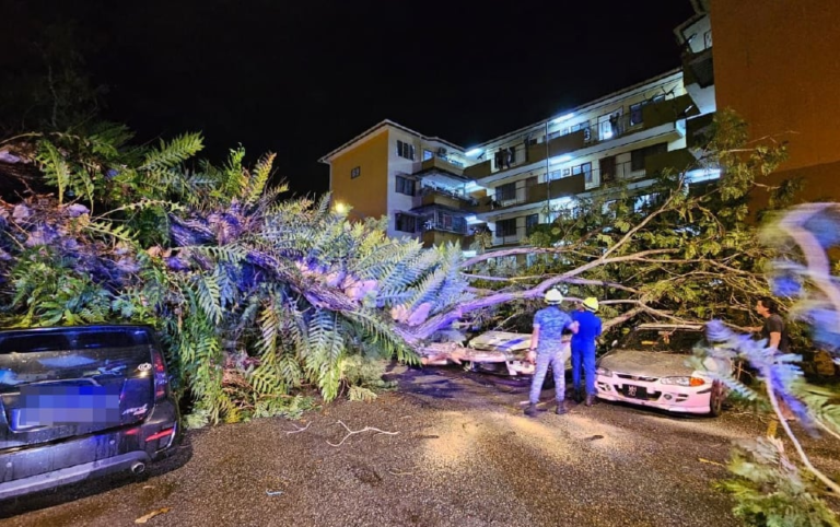 9 Kereta, 8 Motosikal Rosak Dihempap Pokok Tumbang di Wangsa Maju