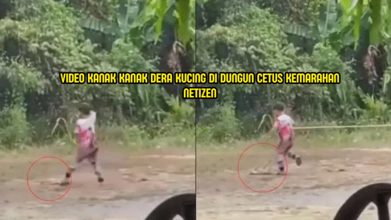 Video Kanak-Kanak Dera Kucing Di Dungun Buat Ramai Berang