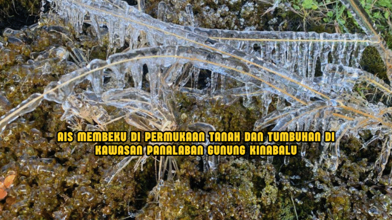 Fenomena Ais Di Gunung Kinabalu Buat Ramai Teruja