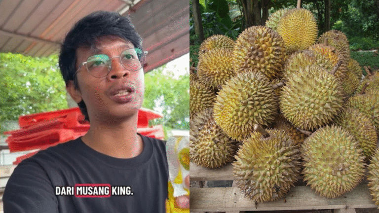 “Tanam 6 Tahun Hasilnya Jelek” – Lelaki Dedah Kenapa Malaysia Lebih Ke Depan Dalam Industri Durian
