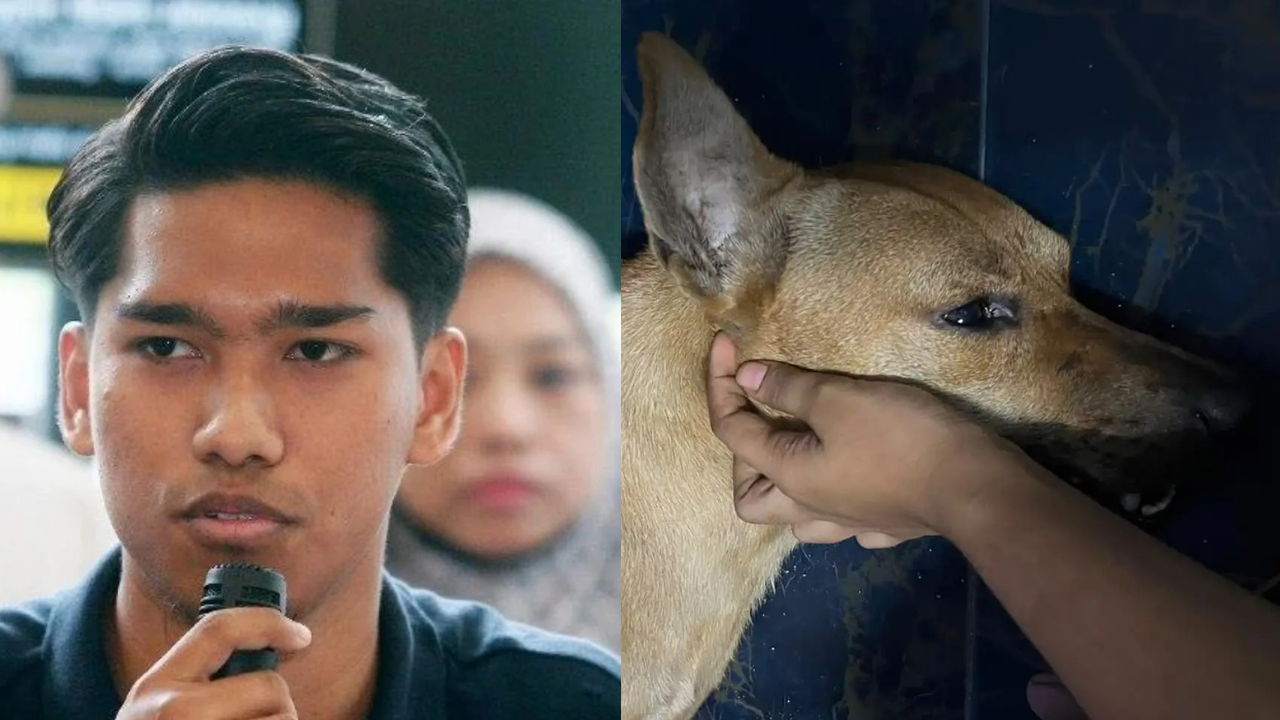 Peguam Muhammad Shah Hizam bercakap mengenai tindakan undang-undang susulan tuduhan dan ancaman berkaitan kes Rocky.
