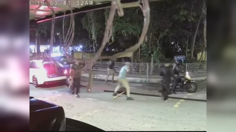 Rakaman Video Kumpulan Penjenayah Sedang Mencuri ‘Cable’ Di Tasik Tambahan Ampang