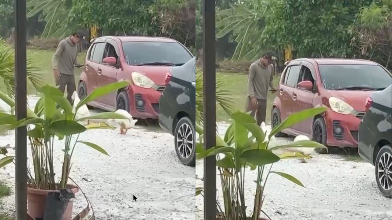 Mesti abg parcel trauma dah nk hntr rumah ni, maaf bang, saya bela utk halau ular tak tahu pulak boleh jadi anjing