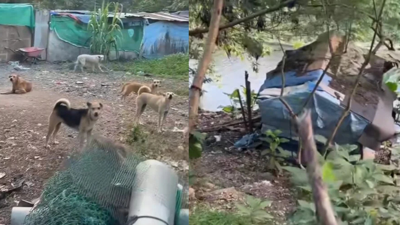PENEMPATAN YANG DIPERCAYAI DIDUDUKI WARGA ASING DITEMUI TERSEMBUNYI DI KAWASAN BELUKAR SUNGAI BATU, SELAYANG