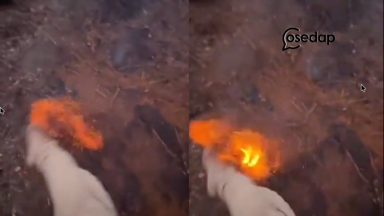Tolak dengan kaki terus keluar api – Kebakaran Hutan Di Kalimantan Undang Risiko Besar