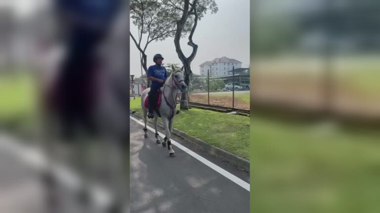 “Aik, binatang apa dia tunggang?” – Lelaki Menunggang Kuda Putih Di Jalan Raya Curi Tumpuan Ramai