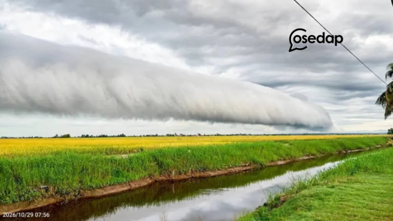View rare dekat Sekinchan fenomena awan bergulung or known as awan tsunami . Masha Allah awan  tu macam rendah sangat , risau pun ada