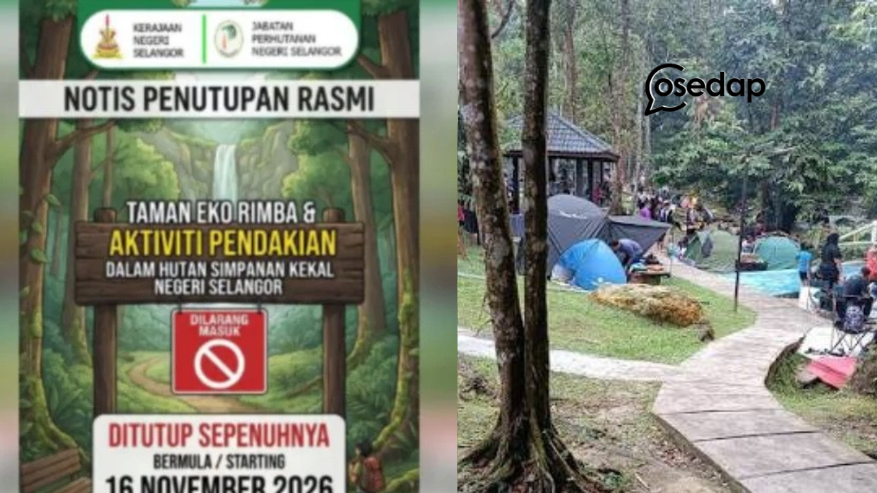 Kaki Hiking Kena Ubah Plan! Selangor Tutup Semua Taman Eko Rimba & Trek Pendakian Mulai 16 November